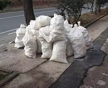 šut